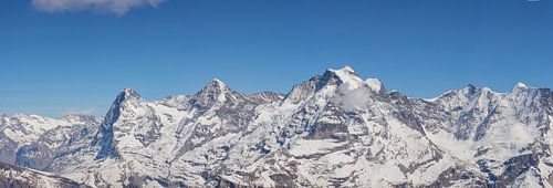 Panorama mit Eiger Mönch und Jungfrau im Winter mit Schnee