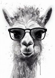 Lama Tier Animal von FotoKonzepte