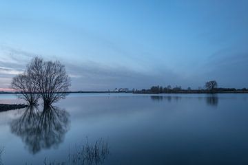 Amerongen Schleuse und Spiegelung der Bäume von Moetwil en van Dijk - Fotografie