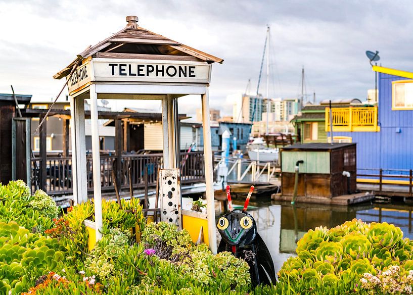 Bayside by Pargoy Art