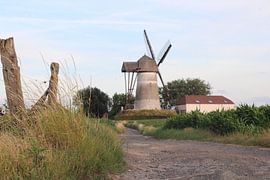 alte Mühle von Denderwindeke von Joran Keij
