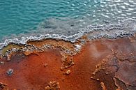 Hotspring Yellowstone in full color van Peter Mooij thumbnail