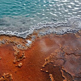 Hotspring Yellowstone in full color von Peter Mooij