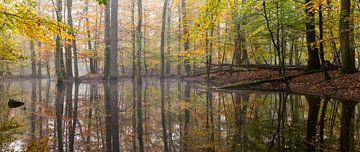 Le ruisseau Leuvenum dans la brume et les couleurs d'automne ! sur Peter Haastrecht, van