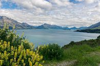 See mit Bergen und Blumen in Neuseeland von Linda Schouw Miniaturansicht