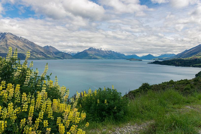 See mit Bergen und Blumen in Neuseeland von Linda Schouw