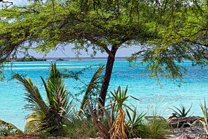 pos chiquito aruba