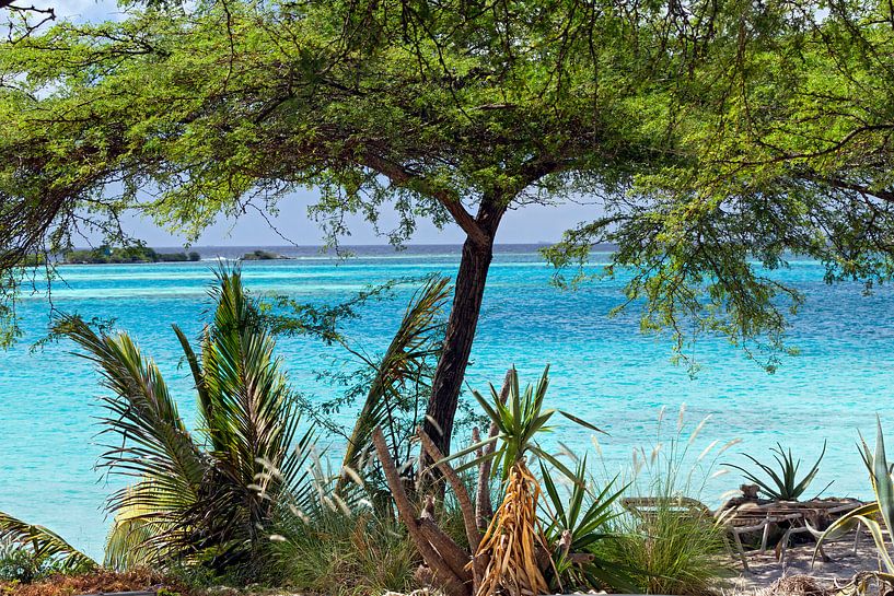 pos chiquito aruba by gea strucks