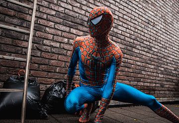 Spiderman in een steeg van Dustin Musch