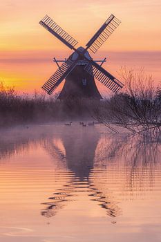 Lever de soleil au Noordermolen Groningen