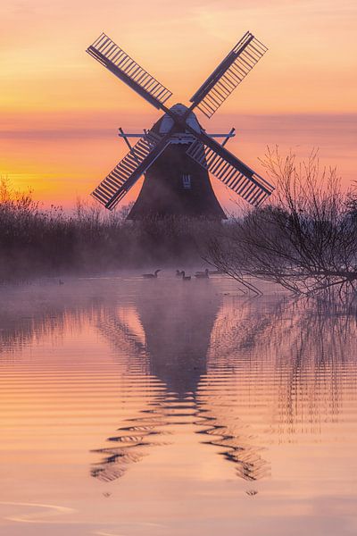Zonsopkomst bij de Noordermolen Groningen van Rick Goede