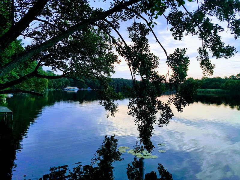 Lake reflection van Graham De With