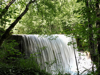Waterfall in the green forest
