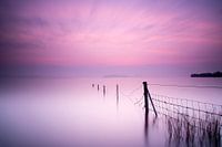 Milky pink