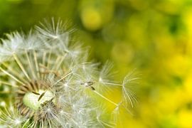 Zeit zum Abflug von Claudia Evans
