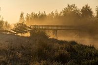 Brücke im Sonnenaufgang mit Nebel