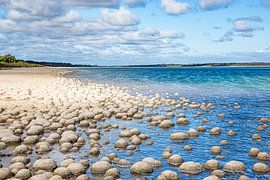 Stromatolithen im Licht von Lake Clifton