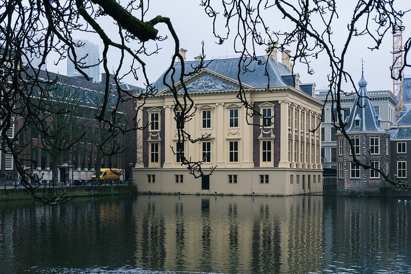Mauritshuis von Luis Emilio Villegas Amador