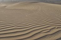 Huacachina woestijn in Peru van Bart Poelaert thumbnail
