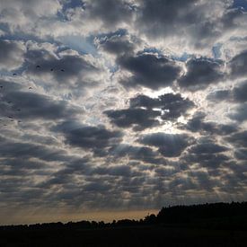 De zon en de wolken van Meta van Saus