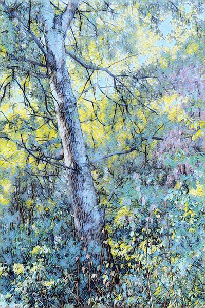 Spring woodland by Diana Mets
