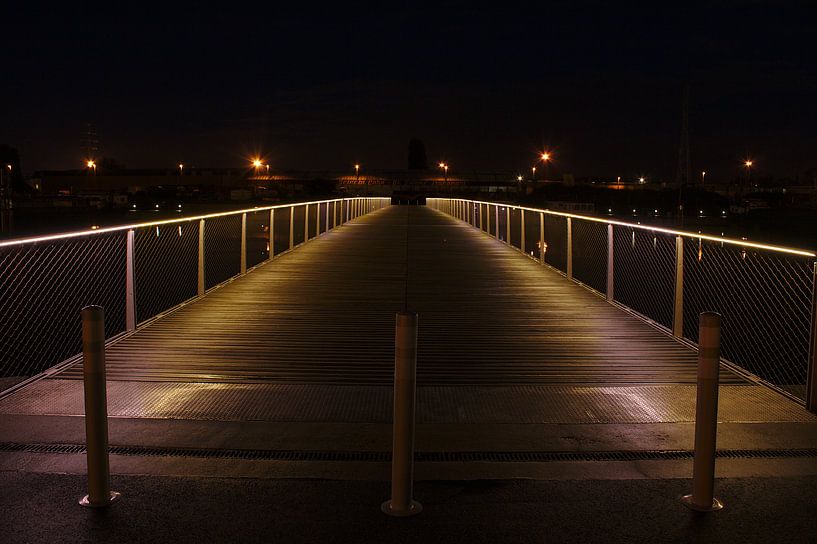 Voetgangersbrug van Wim Verstuyf