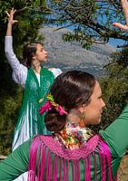 Flamenco auf dem Rücken
