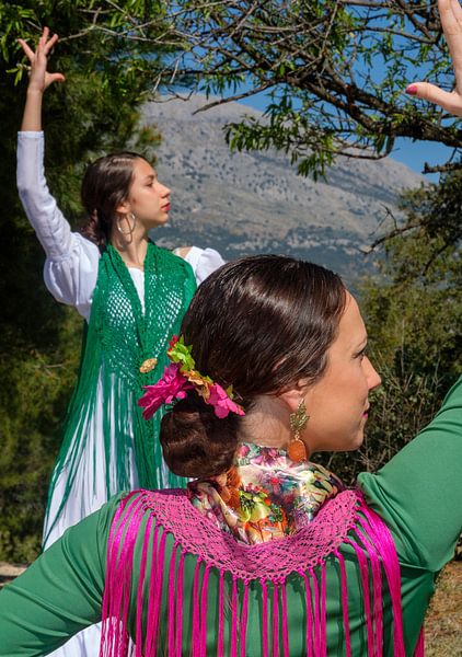 Flamenco auf dem Rücken von Peter Laarakker