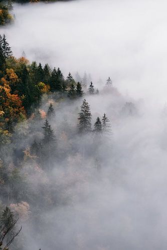 Alpes