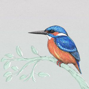 Der Eisvogel