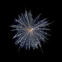 Welkes aus der Nautur