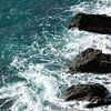 Droogbloem voor azuurblauwe zee met rotsen en schuim van Bianca ter Riet