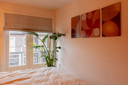 Modern abstract retro  geometric shapes in earthy tints: pink, white, orange