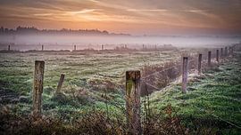 Ulvenhout forest by Peter Smeekens