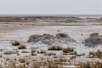 Zoutpan in Etosha NP