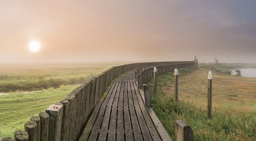 Brouillard émergent                                     par Jan Koppelaar