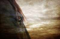 Dream horse