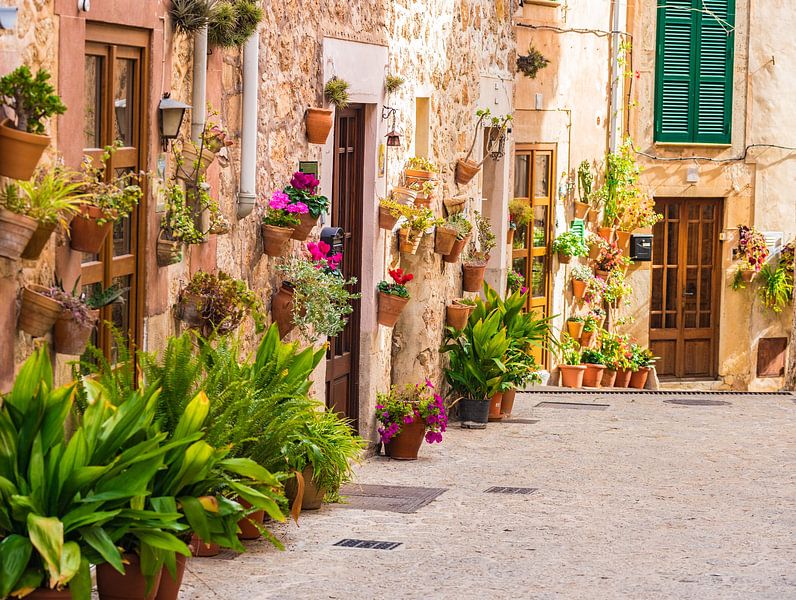 Valldemossa dorp op Majorca, Spanje Balearen van Alex Winter