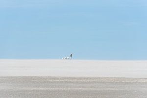 Meereslandschaft