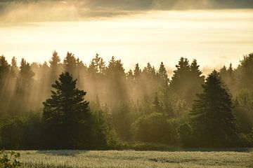 Un lever de soleil un matin d'automne sur Claude Laprise