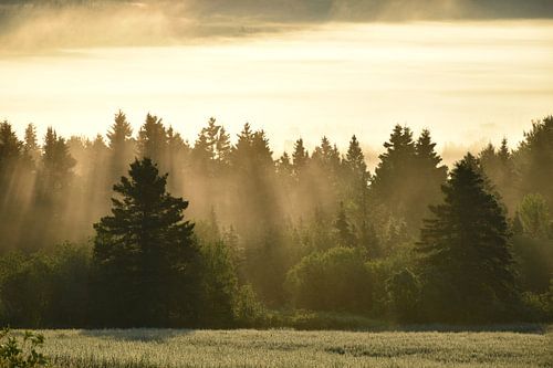 Un lever de soleil un matin d'automne