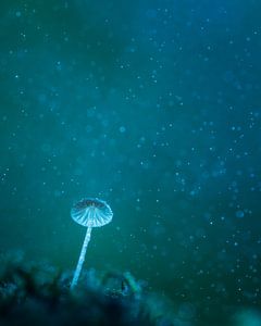Unter Wasser