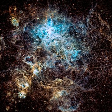 Tarantula Nebula, Vikas Chander von 1x