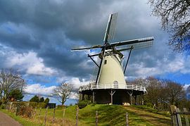 Stellingkorenmolen de Windhond in Soest van Vinte3Sete