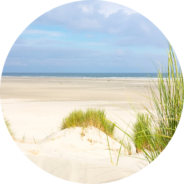 Strand van Terschelling vanuit de duinen van Sjoerd van der Wal Fotografie