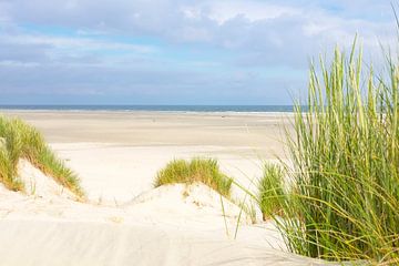 Vue de la plage de la mer du Nord sur l' île du Terschelling sur Sjoerd van der Wal Photographie