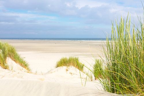 Strand van Terschelling vanuit de duinen
