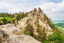 Landscape with trees and rocks in the Harz mountains, Germany by Rico Ködder