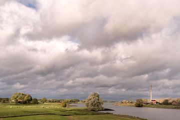 Paysage de plaine inondable avec la briqueterie le long de la Lek près de Ravenswaaij-Wijk bij Duurstede