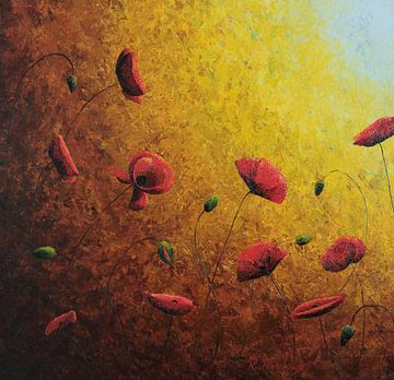 Mohnblumen in goldener Sonne II von Russell Hinckley